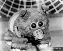 Muffit_II_Promo_01.jpg
