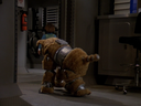 Filename=Muffit_II_Screencap_04.png
Filesize=1026KiB
Dimensions=1440x1080
Date added=Oct 09, 2016 Muffit_II_Screencap_04.png