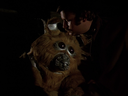 Filename=Muffit_II_Screencap_07.png
Filesize=763KiB
Dimensions=1440x1080
Date added=Oct 09, 2016 Muffit_II_Screencap_07.png