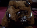 Filename=Muffit_II_Screencap_09.png
Filesize=1303KiB
Dimensions=1440x1080
Date added=Oct 09, 2016 Muffit_II_Screencap_09.png