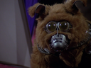 Filename=Muffit_II_Screencap_10.png
Filesize=1314KiB
Dimensions=1440x1080
Date added=Oct 09, 2016 Muffit_II_Screencap_10.png