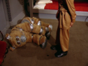 Filename=Muffit_II_Screencap_18.png
Filesize=2965KiB
Dimensions=1440x1080
Date added=Oct 09, 2016 Muffit_II_Screencap_18.png