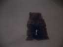 Muffit_II_Screencap_38.png