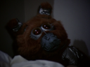 Muffit_II_Screencap_58.png
