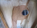 Warrior_Original_Spacesuit_08.jpg