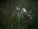 Centurion_Screencap_296.png