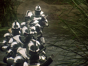 Filename=Centurion_Screencap_300.png
Filesize=2815KiB
Dimensions=1440x1080
Date added=Jun 22, 2016 Centurion_Screencap_300.png