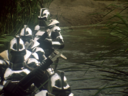 Centurion_Screencap_301.png