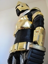 Filename=Command_Centurion_Original_Costume_14_.jpg
Filesize=280KiB
Dimensions=1536x2048
Date added=Jul 18, 2015 Command_Centurion_Original_Costume_14_.jpg