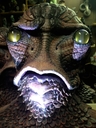 Filename=Imperious_Leader_Replica_Mask_44.jpg
Filesize=92KiB
Dimensions=720x960
Date added=Jun 23, 2016 Imperious_Leader_Replica_Mask_44.jpg