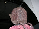 Imperious_Leader_Original_Costume_40.jpg