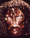 Filename=Imperious_Leader_Promo_06.jpg
Filesize=1125KiB
Dimensions=2364x2943
Date added=Jun 08, 2015 Imperious_Leader_Promo_06.jpg