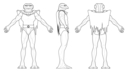 Reptilian_Cylon_Schematic_02.jpg