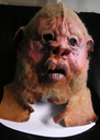 Filename=Boray_Original_Mask_11.JPG
Filesize=253KiB
Dimensions=1067x1497
Date added=Jul 18, 2015 Boray_Original_Mask_11.JPG