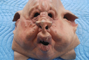 Porcine_Alien_Original_Mask_02.JPG
