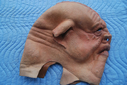 Porcine_Alien_Original_Mask_04.JPG