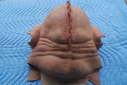 Porcine_Alien_Original_Mask_05.JPG
