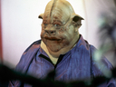 Filename=Porcine_Alien_Promo_07.JPG
Filesize=386KiB
Dimensions=2048x1536
Date added=May 09, 2015 Porcine_Alien_Promo_07.JPG