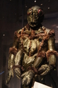 Ovion_Original_Costume_18.jpg