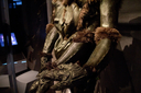 Ovion_Original_Costume_21.jpg