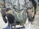 Filename=Ovion_Original_Costume_32.JPG
Filesize=346KiB
Dimensions=1280x960
Date added=Jun 12, 2015 Ovion_Original_Costume_32.JPG