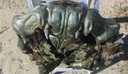 Filename=Ovion_Original_Costume_36.JPG
Filesize=308KiB
Dimensions=1128x653
Date added=Jun 12, 2015 Ovion_Original_Costume_36.JPG
