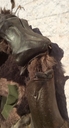 Filename=Ovion_Original_Costume_44.JPG
Filesize=178KiB
Dimensions=864x1600
Date added=Jun 12, 2015 Ovion_Original_Costume_44.JPG