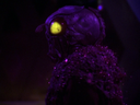 Filename=Ovion_Screencap_08.png
Filesize=1235KiB
Dimensions=1440x1080
Date added=Jun 12, 2015 Ovion_Screencap_08.png