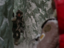 Filename=Tenna_Screencap_09.png
Filesize=2581KiB
Dimensions=1440x1080
Date added=Jan 03, 2019 Tenna_Screencap_09.png