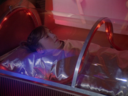 Terran_Children_Screencap_06.png