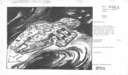 Storyboard_Art_29.jpg