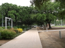 Filename=029.jpg
Filesize=3069KiB
Dimensions=2047x1528
Date added=Oct 03, 2016 029.jpg
