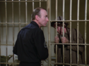 Filename=Sergeant_James_Screencap_05.png
Filesize=2339KiB
Dimensions=1440x1080
Date added=Nov 29, 2016 Sergeant_James_Screencap_05.png