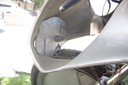 Filename=Turbo_Bike_Original_Vehicle_26.jpg
Filesize=2526KiB
Dimensions=4272x2848
Date added=Jul 30, 2015 Turbo_Bike_Original_Vehicle_26.jpg