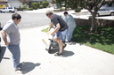 Filename=Turbo_Bike_Original_Vehicle_37.jpg
Filesize=3931KiB
Dimensions=4272x2848
Date added=Jul 30, 2015 Turbo_Bike_Original_Vehicle_37.jpg