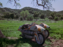 Filename=Turbo_Bike_Screencap_30.png
Filesize=3434KiB
Dimensions=1440x1080
Date added=Jul 30, 2015 Turbo_Bike_Screencap_30.png