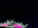 Filename=AB_Raider_Screencap_17.png
Filesize=2073KiB
Dimensions=1440x1080
Date added=Jul 16, 2016 AB_Raider_Screencap_17.png