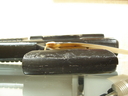 Original_Pistol_11.jpg