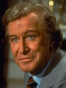 Edward_Mulhare_as_Devon_Miles_-_02.jpg