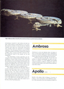 Filename=Encyclopedia_Galactica_13.jpg
Filesize=765KiB
Dimensions=1566x2188
Date added=Mar 12, 2016 Encyclopedia_Galactica_13.jpg
