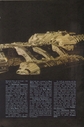 Filename=Mission_Galactica_Annual_47.jpg
Filesize=356KiB
Dimensions=1090x1647
Date added=Mar 12, 2016 Mission_Galactica_Annual_47.jpg