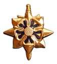 Battlestar_Galactica_Warrior_Rank_Insignia_Pin.jpg