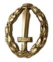 Commander_Cain_Battle_Jacket_Pin.jpg