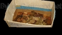 Original_Cubits_04.jpg