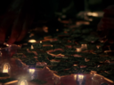 Filename=Cubits_Screencap_10.png
Filesize=1620KiB
Dimensions=1440x1080
Date added=Jan 11, 2019 Cubits_Screencap_10.png