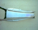 Filename=Robocop_Suit_Legs_07.jpg
Filesize=631KiB
Dimensions=1280x1024
Date added=Oct 25, 2011 Robocop_Suit_Legs_07.jpg