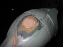 Filename=Robocop_Suit_Legs_08.jpg
Filesize=273KiB
Dimensions=1600x1200
Date added=Oct 25, 2011 Robocop_Suit_Legs_08.jpg