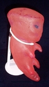 Original_Chig_Baby_02.jpg