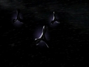 Fighter_Screencap_11.jpg