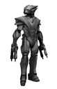 S_T_A_R__Redesign_03.jpg